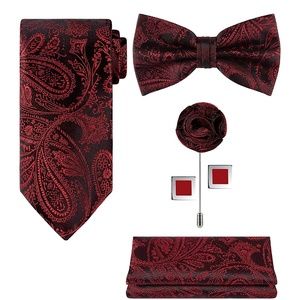 Mens 5pc Paisley Neck Tie Bow Lapel Cuff Links Set